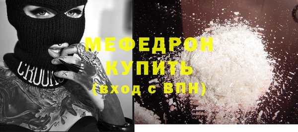 СК Алексин