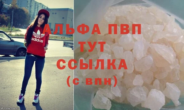 СК Алексин